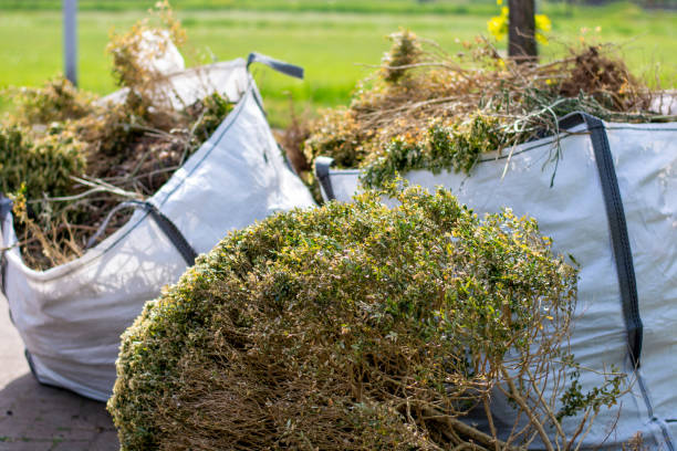 Best Attic Cleanout Services  in Rio Verde, AZ